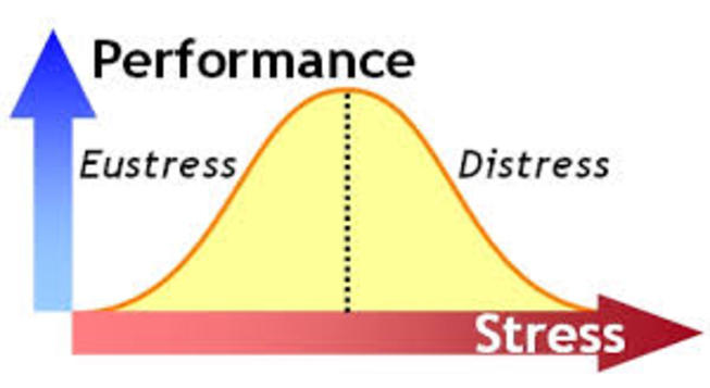 Stressati in azienda? Sì, quanto basta!